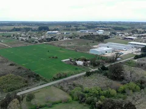 Terreno en Venta de 60032,0 m2