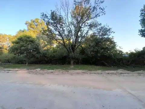 VENDO FANTASTICOS TERRENOS DE GRANDES DIMENSIONES Y ARBOLADO