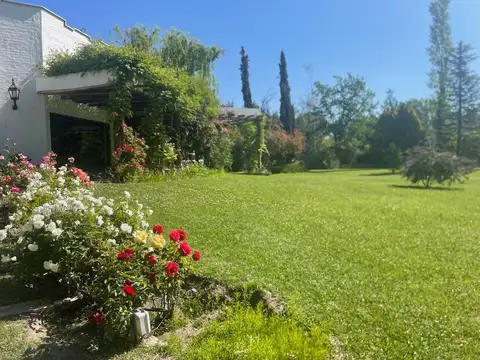 BERNAREGUI 100