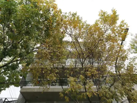 Departamento en Venta en Saavedra, Capital Federal