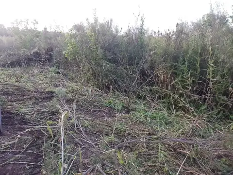 Terreno en Venta de 100000,0 m2