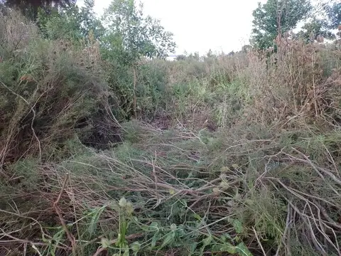 Terreno en Venta en Arana, USD 450.000