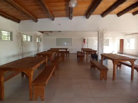 Domselaar