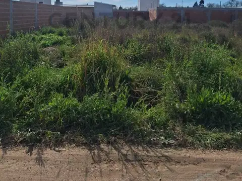 Terreno en Venta en Villa Elvira, USD 13.000