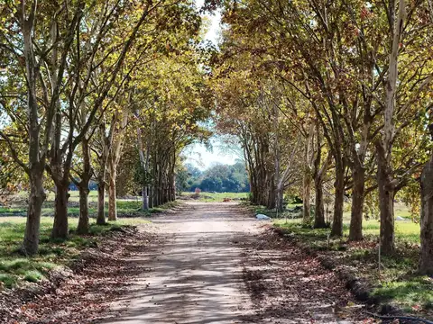 Ruta 34 y Las Truchas