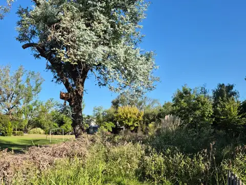 Terreno en Venta de 1,0 m2