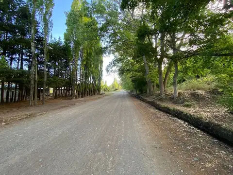 VENTA LOTE POTRERILLOS. MENDOZA