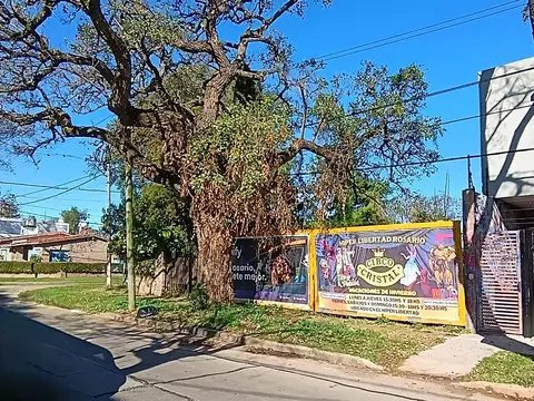 Terreno en Venta 8  mts Frente