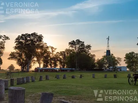 Terreno en Los Tres Pinos