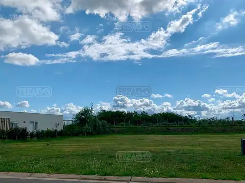 Area 10 Nuestra Señora de Fatima