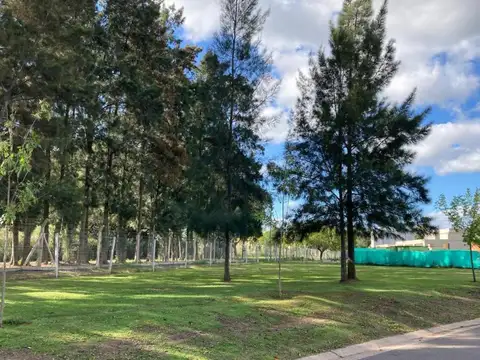 Terreno en Venta de 508,0 m2