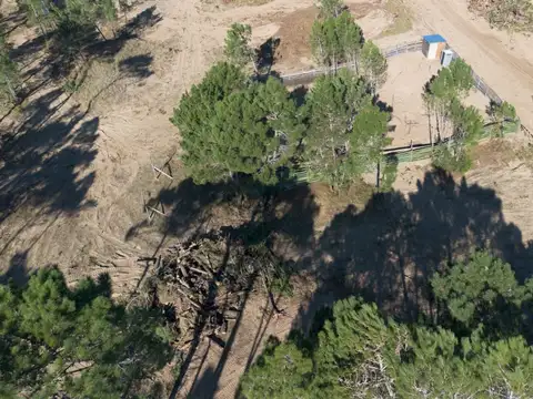 Terreno en Venta en Pinamar Norte, USD 108.000