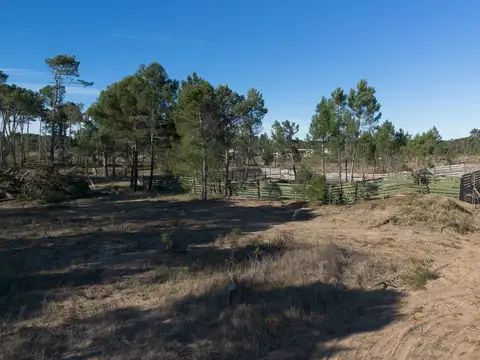 Terreno en Venta en Pinamar Norte, USD 108.000
