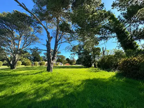 Terreno en Venta 52  mts Fondo