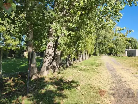 Terreno en Venta en Cipolletti, USD 50.000