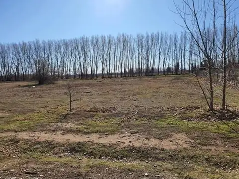 Terreno en Venta en Cipolletti, USD 50.000