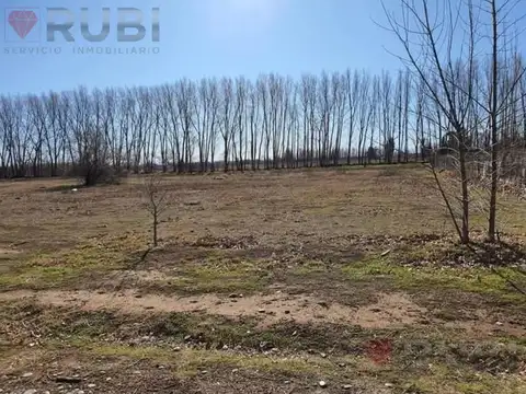 Terreno en Venta en Cipolletti, USD 50.000