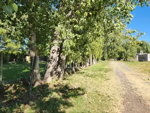 Terreno en Cipolletti