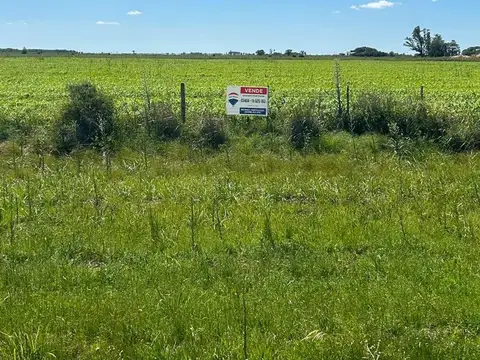 1 ha Ruta 06 San Carlos Sur, Santa Fe