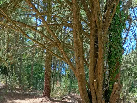 Terreno en venta en Carilo