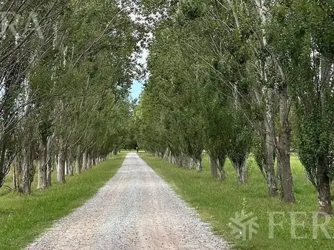 Terreno en Venta de 5192,0 m2