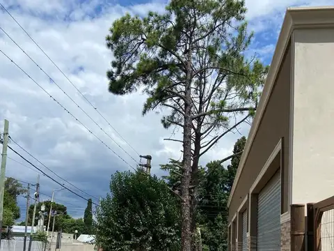 Local en Alquiler en Tortuguitas, $ 850.000