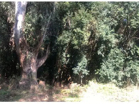 Terreno en Venta en Santa Fe, USD 215.000