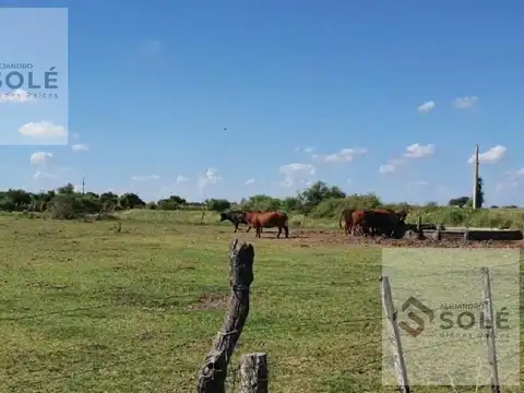 Campo En Venta En Provincia de Santa Fé - Arrufó