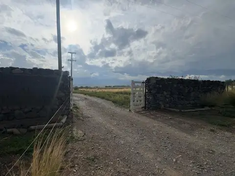 Ruta Provincial 89 S/N 100