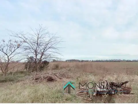 CHENAUT EXALTACION DE LA CRUZ