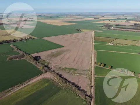 CAMPO AGRÍCOLA DE 43,43 HECTÁREAS EN VENTA – DOYLE, SAN PEDRO