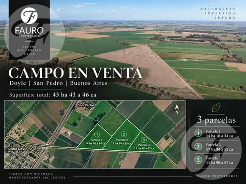 Campo en Venta en Doyle, Partido de San Pedro