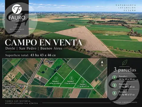 CAMPO AGRÍCOLA DE 43,43 HECTÁREAS EN VENTA – 3 PARCELAS INDEPENDIENTES – DOYLE, SAN PEDRO