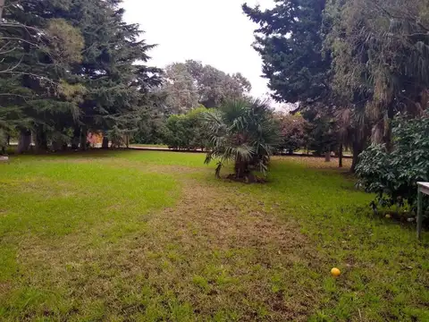 Cerrito 6100