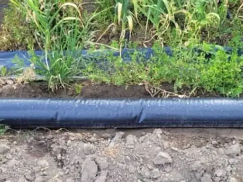 VENTA FINCA TUPUNGATO MENDOZA