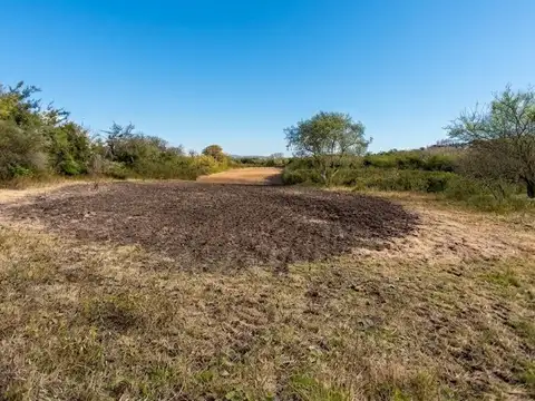 Chacra de 15 ha. con vista al río en Baradero