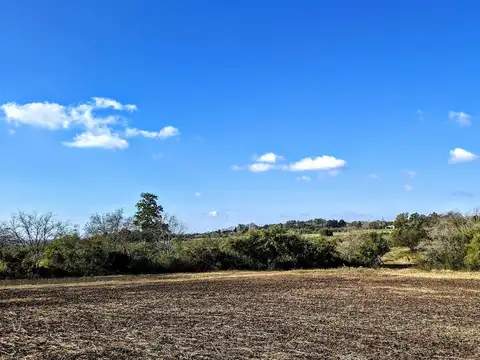 Chacra de 15 ha. con vista al río en Baradero