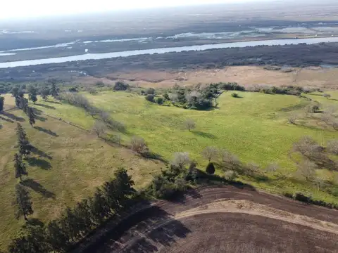 Chacra de 15 ha. con vista al río en Baradero