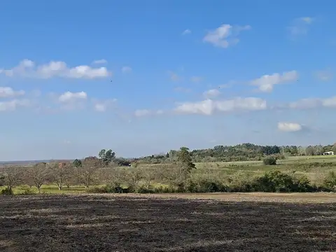 La Trinidad, Baradero