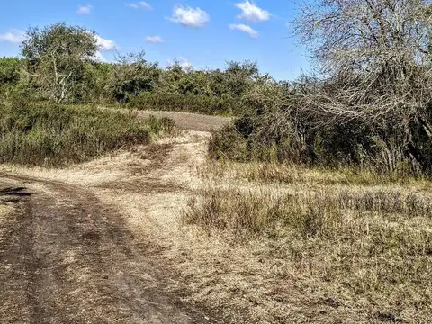 Baradero