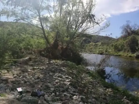 OPORTUNIDAD DE INVERSION CAMPO EN VILLA DE SOTO