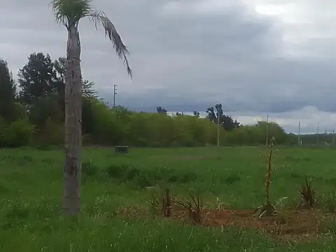 Terreno en Venta en Pilar, USD 65.000