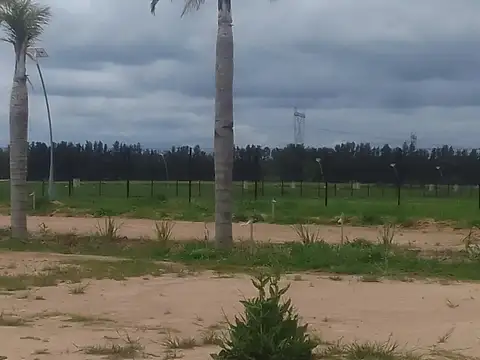 Sor teresa    al 700