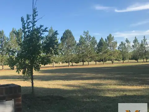 El Cardal III