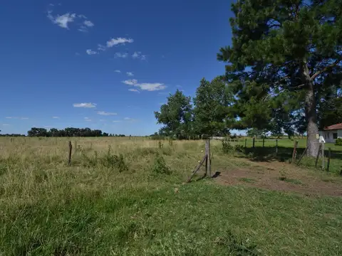 CAMPO EN VENTA CON MEJORAS CERCADO TOTALMENTE Y DOS ACCESOS POR RUTA 41 Y POR RUTA 3