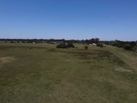 Chacra 24 hectáreas con acceso directo sobre ruta 41 y acceso secundario por ruta 3 en venta