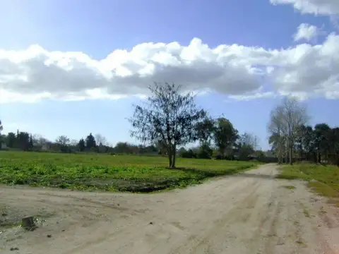 Terreno en Venta de 643,0 m2