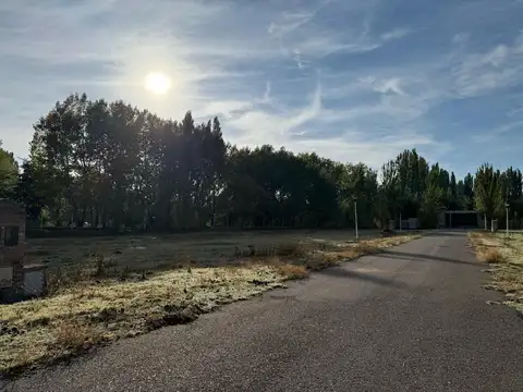 Terreno en Venta en Plottier, USD 69.400