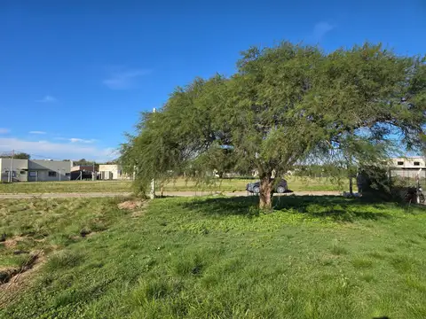 Los Halcones 100, Piso 0