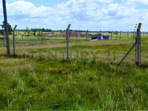 Terreno en Venta 56  mts Frente